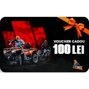 Voucher Card Cadou 100 LEI